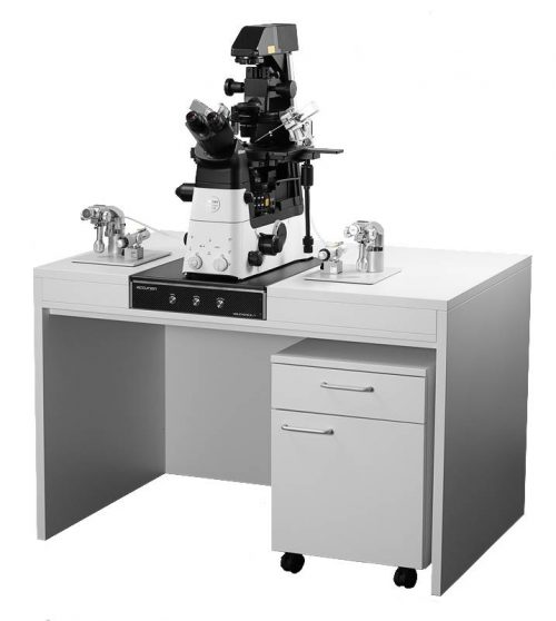 Table de laboratoire anti vibration IVF Workstation