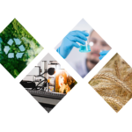 Applications of hyperspectral imaging