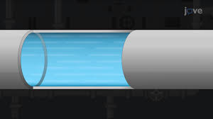Mesure du gradient de vitesse